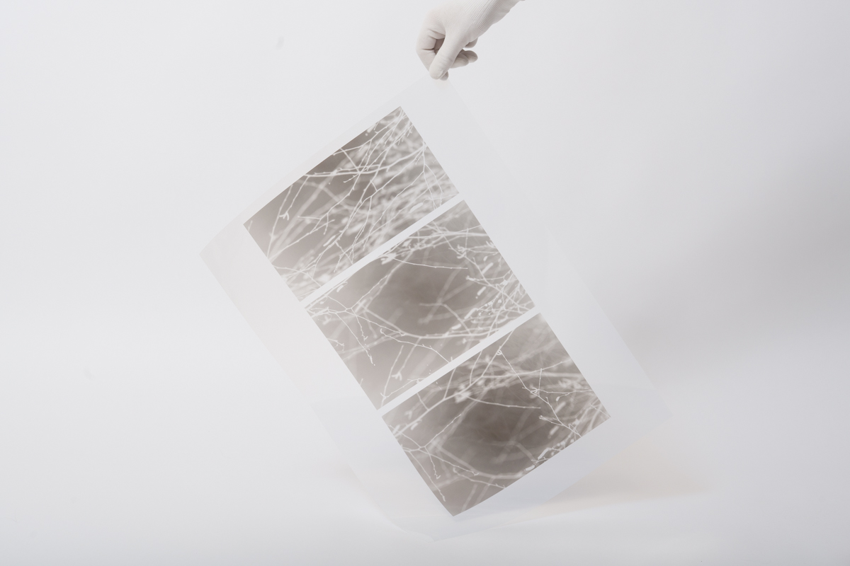 © Nicole Chuard, imprimée sur Novalith tilm transparant